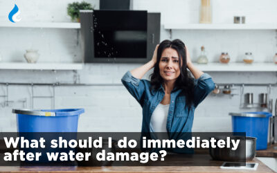 What Should I Do Immediately After Water Damage?