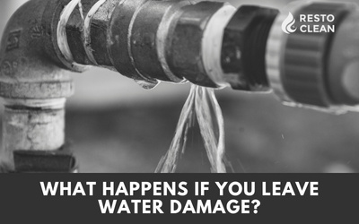 What Happens If You Leave Water Damage?