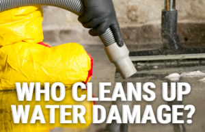 Who Cleans Up Water Damage?