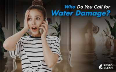 Who Do You Call for Water Damage?