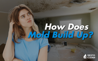 How Does Mold Build Up?