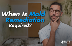 When Is Mold Remediation Required?