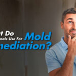 What Do Professionals Use For Mold Remediation?