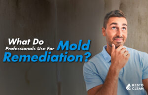 What Do Professionals Use For Mold Remediation?