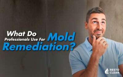 What Do Professionals Use For Mold Remediation?