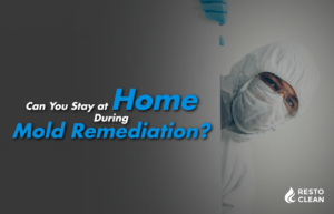 Can You Stay at Home During Mold Remediation?