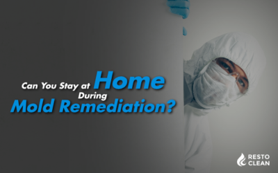 Can You Stay at Home During Mold Remediation?