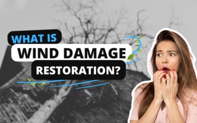 What is Wind Damage Restoration?