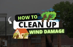 How to Clean Up Wind Damage?