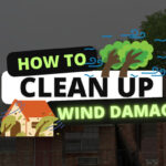 How to Clean Up Wind Damage?