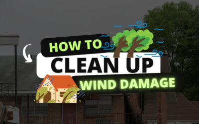 How to Clean Up Wind Damage?