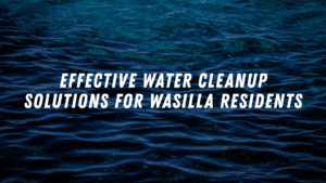 Effective Water Cleanup Solutions for Wasilla Residents