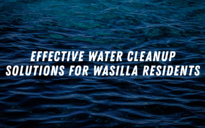 Effective Water Cleanup Solutions for Wasilla Residents